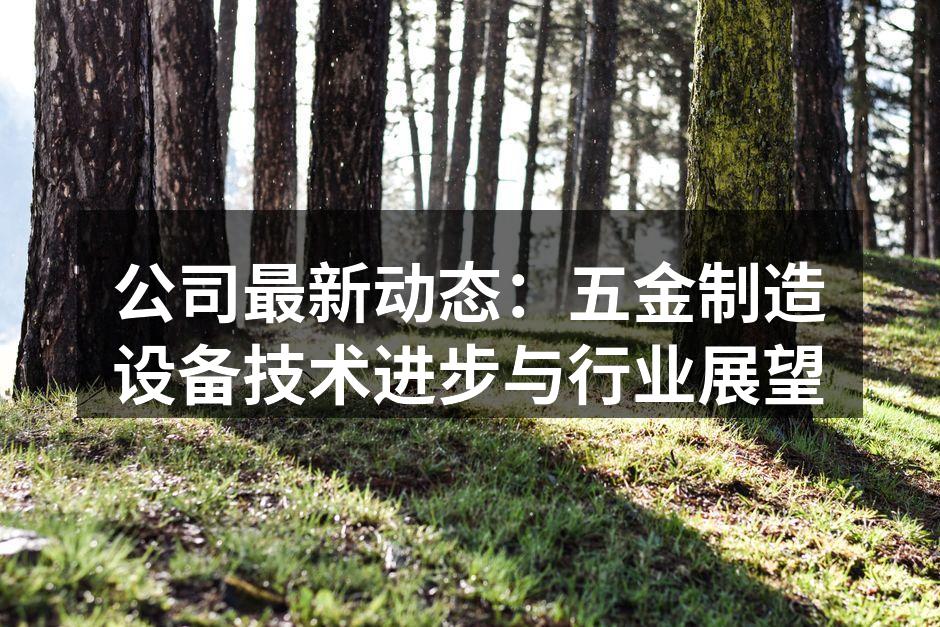 新引进的高精度数控机床